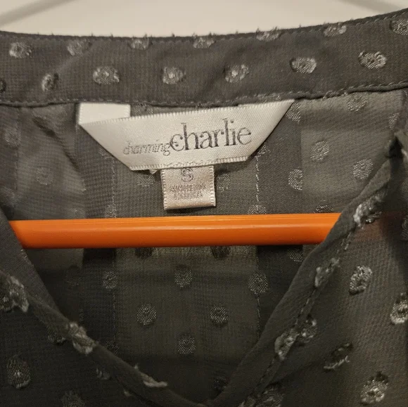 Charming Charlie blouse - Picture 6 of 7